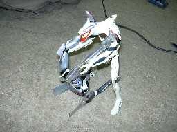 �E�H�[���E�I�u�E�W�F���R